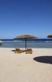 Туры в отель BeachSafari Resort Туры в отель BeachSafari Resort