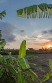Туры в отель Gajah Villas Bali by Nagisa Bali Туры в отель Gajah Villas Bali by Nagisa Bali