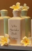 Туры в отель Villa Seriska Dua Sanur Bali Туры в отель Villa Seriska Dua Sanur Bali