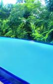 Туры в отель Tropical Retreat Туры в отель Tropical Retreat