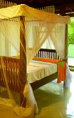 Туры в отель Tropical Retreat Туры в отель Tropical Retreat