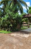 Туры в отель Symphony Palms Beach Resort Туры в отель Symphony Palms Beach Resort