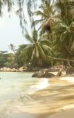 Туры в отель Haad Chao Phao Resort Туры в отель Haad Chao Phao Resort