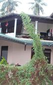 Туры в отель All View Resort Туры в отель All View Resort