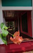 Туры в отель Palitha Home Stay Туры в отель Palitha Home Stay