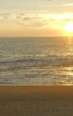 Туры в отель Beach House Negombo Туры в отель Beach House Negombo