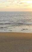 Туры в отель Beach House Negombo Туры в отель Beach House Negombo