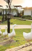 Туры в отель The Sea-Cret Garden Hua Hin Туры в отель The Sea-Cret Garden Hua Hin