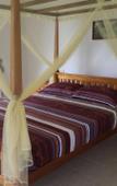 Туры в отель Rainforest Lodge Туры в отель Rainforest Lodge