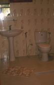 Туры в отель Rainforest Lodge Туры в отель Rainforest Lodge