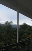 Туры в отель Rainforest Lodge Туры в отель Rainforest Lodge