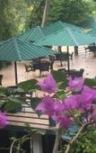Туры в отель Rainforest Lodge Туры в отель Rainforest Lodge