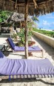 Туры в отель Blue Reef Sport and Fishing Lodge & Bungalows Туры в отель Blue Reef Sport and Fishing Lodge & Bungalows