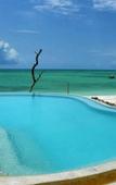 Туры в отель Pongwe Beach Hotel Туры в отель Pongwe Beach Hotel