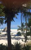 Туры в отель Pongwe Beach Hotel Туры в отель Pongwe Beach Hotel