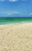 Туры в отель Pongwe Beach Hotel Туры в отель Pongwe Beach Hotel