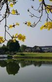 Туры в отель Korat Resort Hotel Туры в отель Korat Resort Hotel