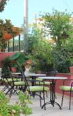 Туры в отель Starlight Hotel Туры в отель Starlight Hotel