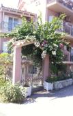 Туры в отель Starlight Hotel Туры в отель Starlight Hotel