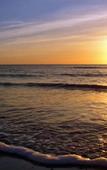 Туры в отель Seagulls Beach & Garden Cabanas Туры в отель Seagulls Beach & Garden Cabanas