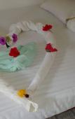 Туры в отель Hangloose Arugambay Туры в отель Hangloose Arugambay