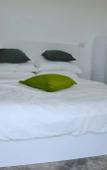 Туры в отель The Green Mango Туры в отель The Green Mango