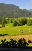 Туры в отель Nature Hotel Lukanc Bled Туры в отель Nature Hotel Lukanc Bled