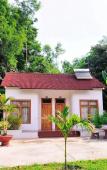 Туры в отель Tang Thanh Phat Resort Туры в отель Tang Thanh Phat Resort