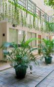Туры в отель LeGreen Suite Pejompongan Туры в отель LeGreen Suite Pejompongan