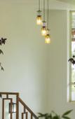 Туры в отель Dream Catcher Plantation Resort Туры в отель Dream Catcher Plantation Resort