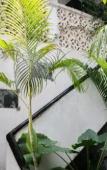 Туры в отель Malindi Boutique Туры в отель Malindi Boutique