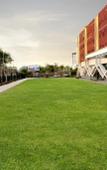 Туры в отель InterContinental Jaipur Tonk Road Туры в отель InterContinental Jaipur Tonk Road