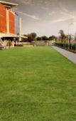 Туры в отель InterContinental Jaipur Tonk Road Туры в отель InterContinental Jaipur Tonk Road