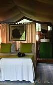 Туры в отель Mahoora Tented Safari Camp Udawalawe Туры в отель Mahoora Tented Safari Camp Udawalawe