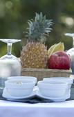 Туры в отель Mahoora Tented Safari Camp Udawalawe Туры в отель Mahoora Tented Safari Camp Udawalawe