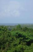 Туры в отель Clave Verde Ecolodge Туры в отель Clave Verde Ecolodge