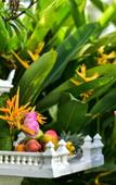 Туры в отель Naia Resort Туры в отель Naia Resort