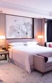 Туры в отель Sheraton Shanghai Jiading Hotel Туры в отель Sheraton Shanghai Jiading Hotel