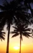 Туры в отель Sichon Cabana Beach Resort Туры в отель Sichon Cabana Beach Resort