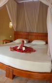 Туры в отель Mango Tree Inn Туры в отель Mango Tree Inn