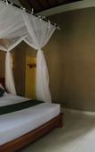 Туры в отель Mango Tree Inn Туры в отель Mango Tree Inn