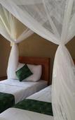 Туры в отель Mango Tree Inn Туры в отель Mango Tree Inn