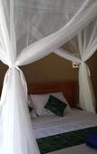 Туры в отель Mango Tree Inn Туры в отель Mango Tree Inn