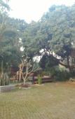 Туры в отель M Place Maerim Туры в отель M Place Maerim