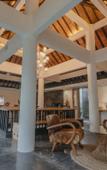 Туры в отель LaMeli Villas Ubud Туры в отель LaMeli Villas Ubud