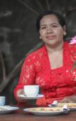 Туры в отель Satya House Ubud Туры в отель Satya House Ubud
