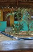 Туры в отель Arne's Place The Friendliest Hotel Туры в отель Arne's Place The Friendliest Hotel