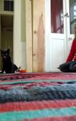 Туры в отель Lotus Garden Hostel Туры в отель Lotus Garden Hostel