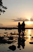 Туры в отель Tiara Homestay Pemuteran Туры в отель Tiara Homestay Pemuteran