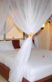Туры в отель Tiara Homestay Pemuteran Туры в отель Tiara Homestay Pemuteran